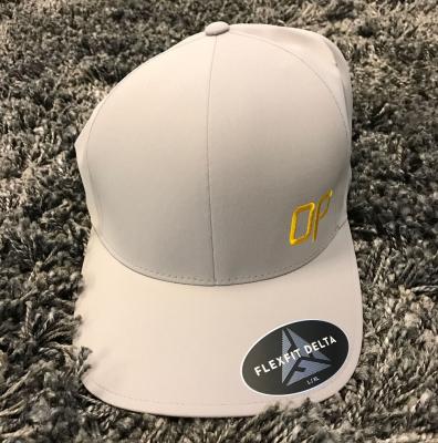 ObservePoint Fitted Hat - Grey